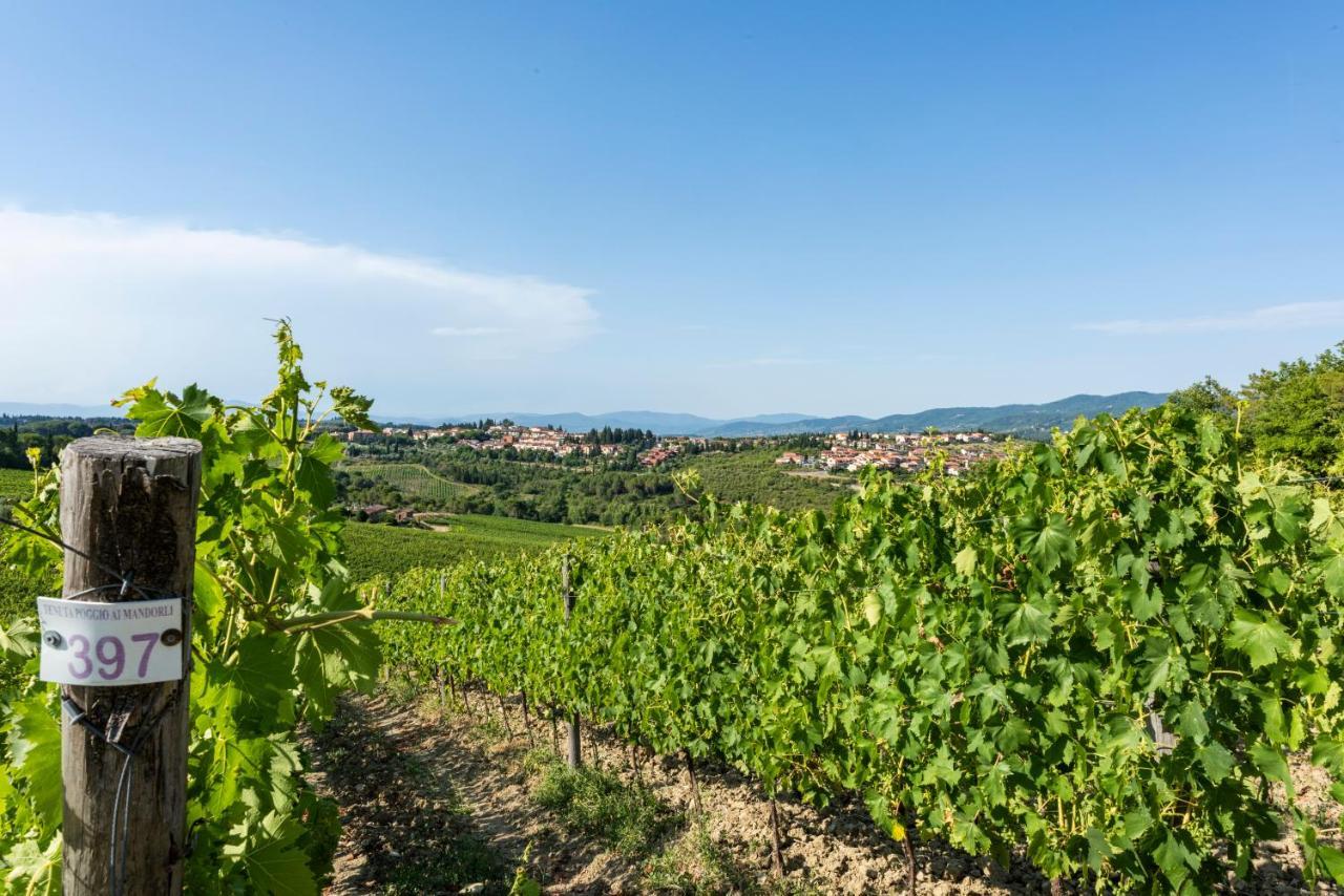 Tenuta Poggio Ai Mandorli Greve in Chianti Exterior foto